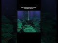 Лучший мод на обновление города енда для майнкрафт пе 1.21+