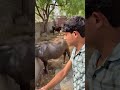 karu to bi kya 🥹 #minivlog #vlog #viral #post