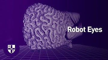 Robot Eyes - capturing highly accurate 3D video in real time