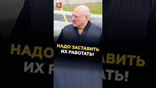 Лукашенко: надо заставить их работать! Жёсткое поручение Президента чиновникам #лукашенко #беларусь