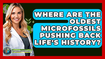 Where Are The Oldest Microfossils Pushing Back Life