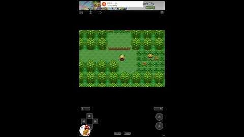 Pokémon Mega Emerald X Y part 1