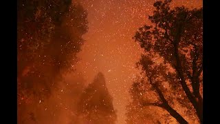 MOSQUITO FIRE - INTENSE FIRE BEHAVIOR, EMBER STORM, TREES TORCHING