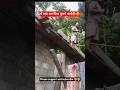 Remove Shuttering work l For house
