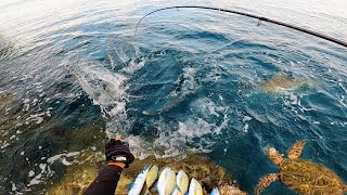 Halos Sa Gilid Ko Nalang Kumakagat Ang Mga Isda | Rock Fishing