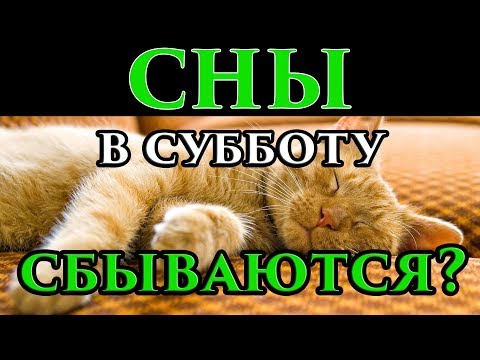 Сны с пятницы на субботу сбываются или нет 🌙 - Маг Fose