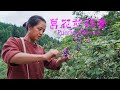 Fried eggs with Pueraria flower, fragrant, crisp, sweet|葛花，紫色蝴蝶，好看还好吃【乡野莲姐】