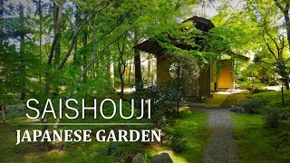 Secret hidden in the Waiting SpaceBamboo Path, Beautiful MossTranquil Japanese Garden Tour