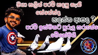 පර්ව්‍ නැති කරගන්නේ නැතුව ඉක්මනට කුඩුව හුරුකරගමු 🙃😱