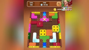 Wood Escape Color Block Level 130