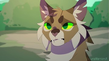 4 Warriors MAP parts