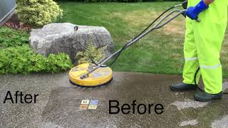 All Serv Soft Wash and Pressure Washing Whidbey, Anacortes and Skagit 360-341-3383 screenshot 5