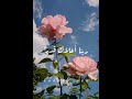 حالة واتس أنت نور الله فجرا  ماهر زين