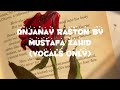 Anjanay Raston By Mustafa Zahid