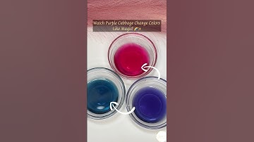 Purple Cabbage Magic! Watch Colors Change Before Your Eyes 🌈🔬 #shorts #diy #scienceexperiment
