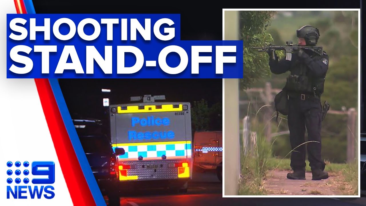 Man shot in stomach during fight at home | 9 News Australia