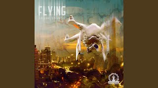 Drone Sound Effect 3