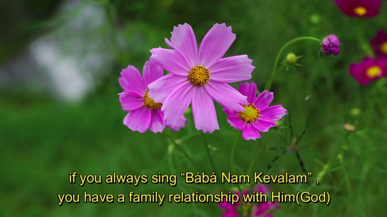 Baba Nam Kevalam  Divine Flame track 12 3  Spiritual chanting Mahamantra  Ananda Marga