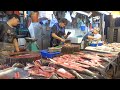 Seafood and Fish in Hong Kong Amazing Wet Markets. World Food and Street Food