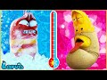 Hot VS Cold Challenge 🥶🥵 Larva Ice - Funny Larva Cartoon Animation