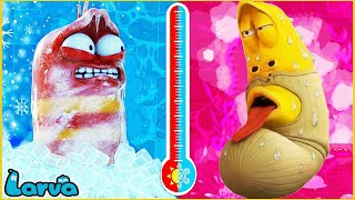 Download Lagu Hot VS Cold Challenge 🥶🥵 Larva Ice - Funny Larva Cartoon Animation MP3