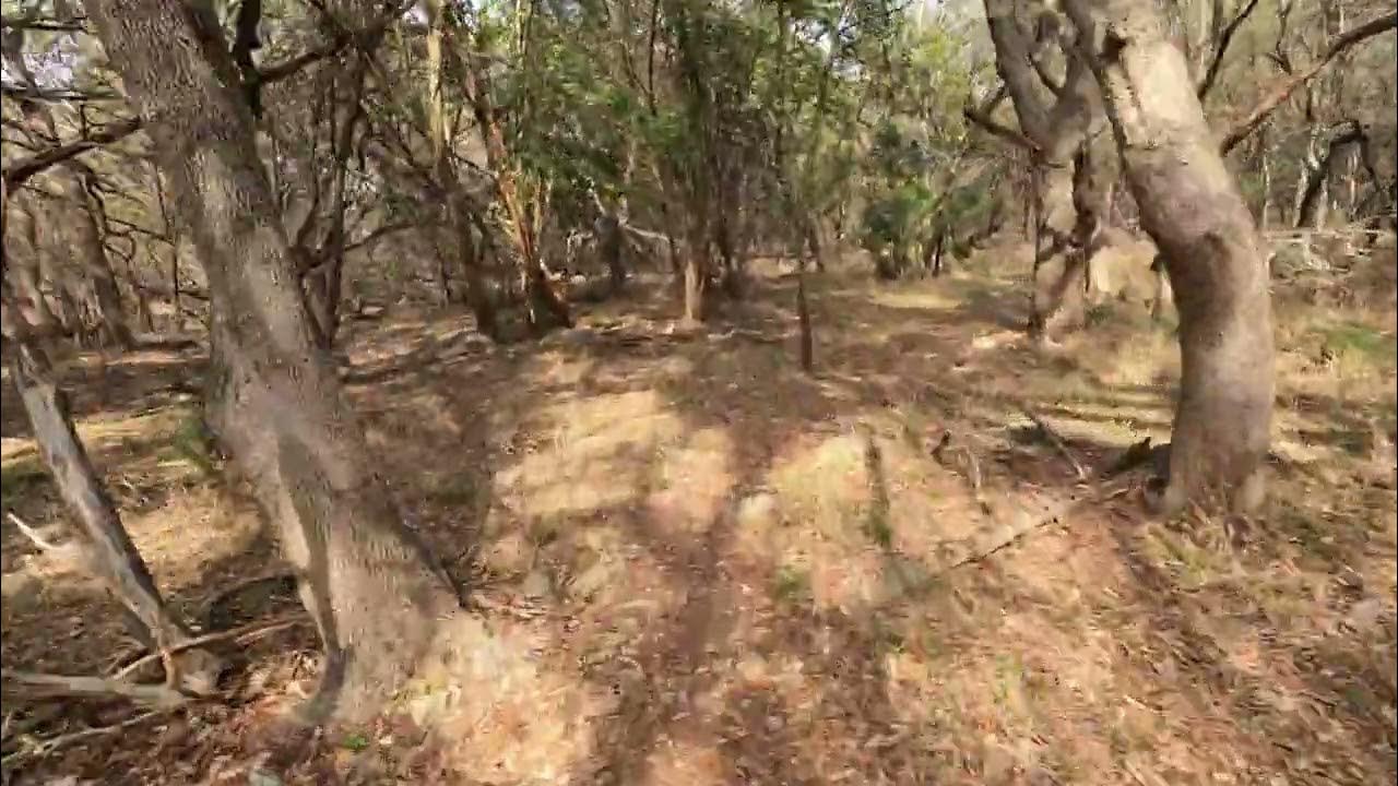 Mud Creek Park San Antonio, TX MTB YouTube