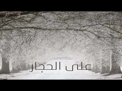 على الحجار فى هويد الليل