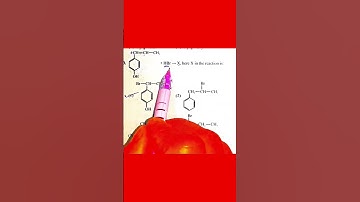 Neet Pyqs with concept neet questions practice neet 2025