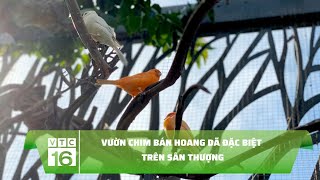 VƯỜN CHIM BÁN HOANG DÃ ĐẶC BIỆT TRÊN SÂN THƯỢNG | VTC16