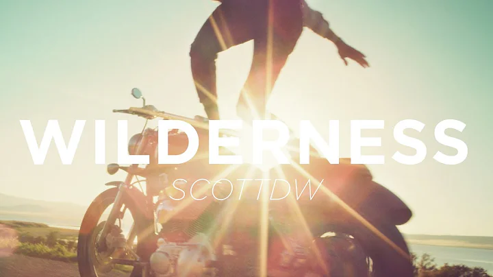 SCOTTDW - WILDERNESS (Audio)