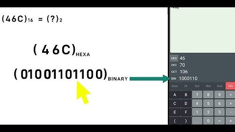 Hexadecimal to Binary Converter  Hindi Urdu