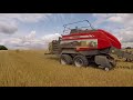 Straw Pellets 2017 Harvest