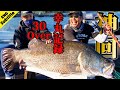 【３０kgオーバー】アカメでも伝説作ります! [English Sub] Sachimaru record of Japanese lates!