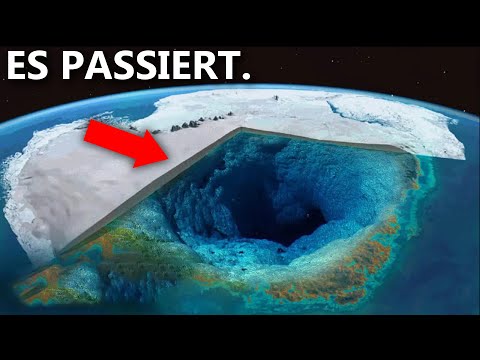 Video: Während der elften Antarktisexpedition?