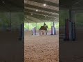 he has some wingsss #horse #ponymalta #myanimals #equestrian #mylitlepony #mypets