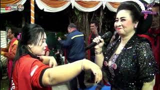 JULA JULI TEK   TAMBAL BAN