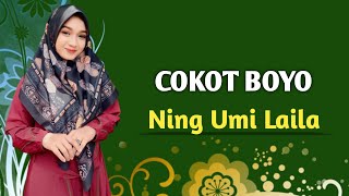 COKOT BOYO - NING UMI LAILA