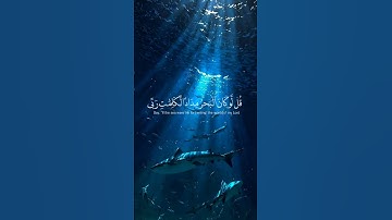 قران الكريم راحة نفسية ممكن شتراك #اكسبلور #القارئ #المصحف #تيك_توك #الرحمن #سورة #راحة_نفسية #لايك