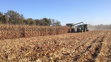 Moughler Farms 2013 - Unloading on the Go