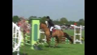 Koko springen in Marum.wmv
