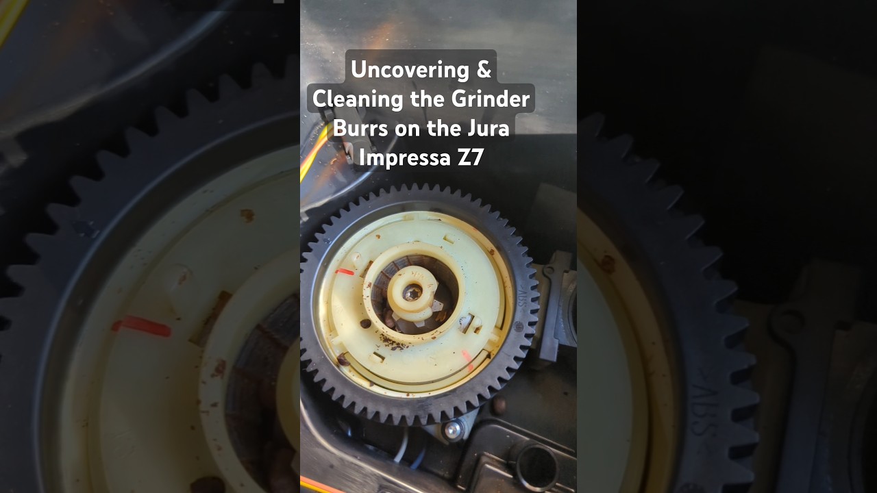 Uncovering & Cleaning the Grinder Burrs on the Jura Impressa