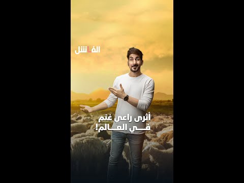 قناة المال كيف تحول العنف الأسري لمليارات الدولارات 