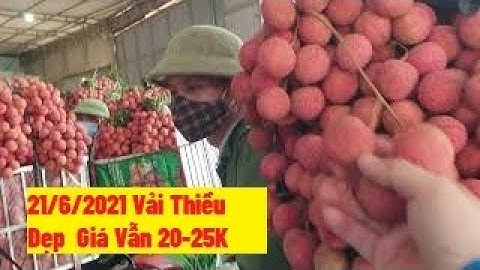 21/6/2021 Vải Thiều Đẹp Giá Vẫn 25K Tại Cầu Chét I Giá Vải Thiều Lục Ngạn Bắc Giang