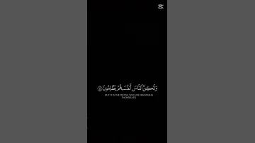 افانت تهدى العمى ولو كانوا لا يبصرون ان الله لا يظلم الناس شيئا ولكن الناس انفسهم يظلمون 