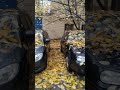 осіння парковка