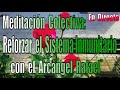 Charlaremos en Directo y Meditación Colectiva: Reforzar el Sistema Inmunitario (Arcángel Rafael)