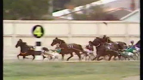 1983 New Zealand Cup - Addington, Christchurch: St...
