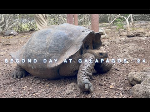 Second Day At
