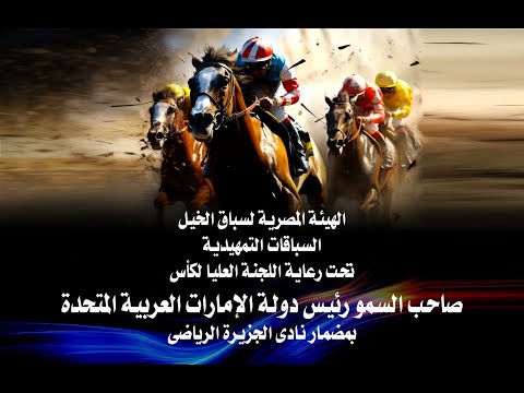 53الهيئة المصرية لسباق الخيل1890 الحصان خير بدراوى   موسم سباقى134موسم صيف2025