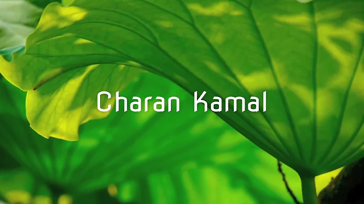Charan Kamal (ft. Janapriya Levine & Kimberly Foree)